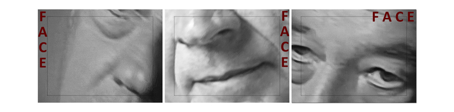 a face is a face