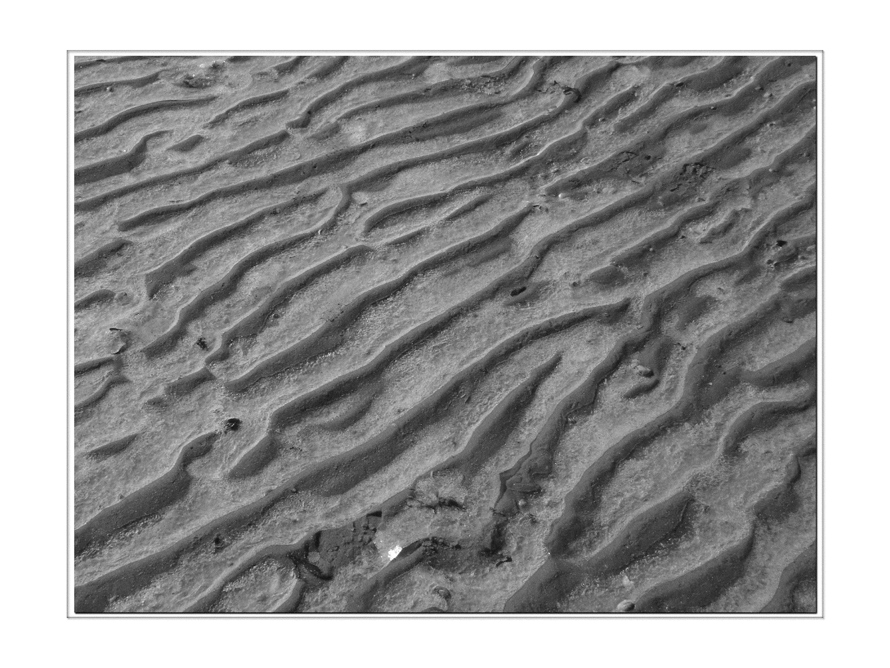 Frozen Waves