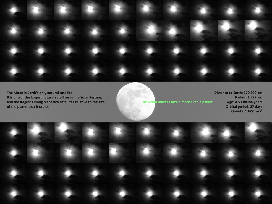 The Moon