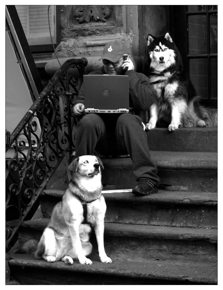 MacDougal